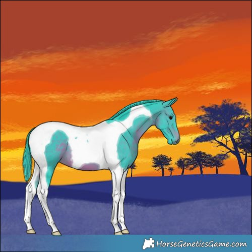 Horse Color:Watercolor Brown Tobiano 