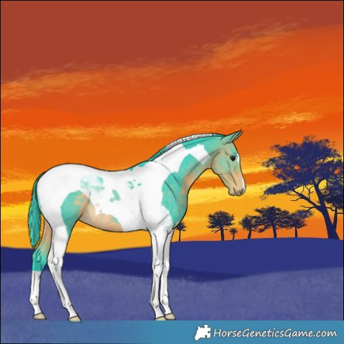 Horse Color:Watercolor Buckskin Tobiano Rabicano 