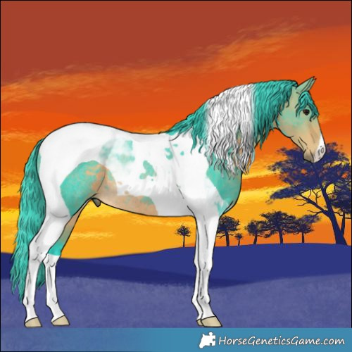 Horse Color:Watercolor Buckskin Tobiano Rabicano