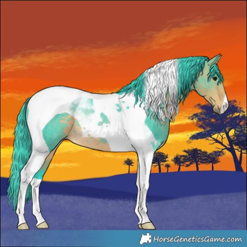 Horse Color:Watercolor Buckskin Tobiano Rabicano 