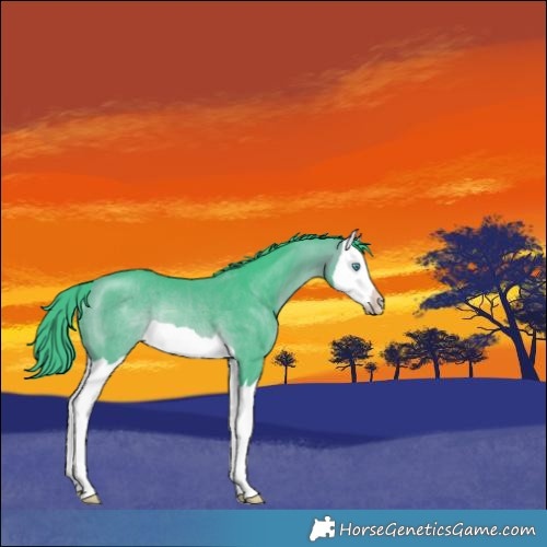 Horse Color:Watercolor Bay Splash Rabicano 