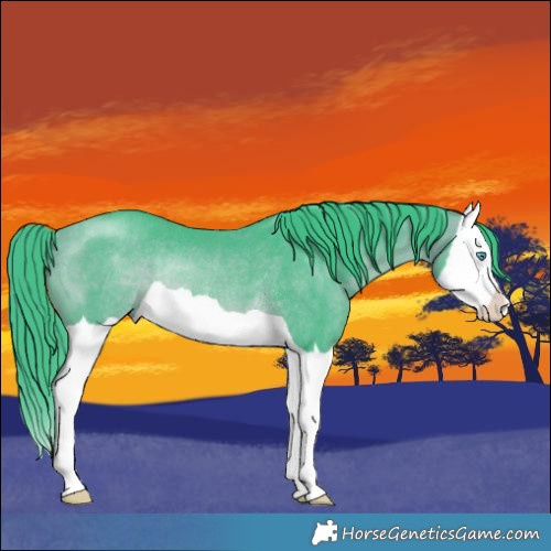 Horse Color:Watercolor Bay Splash Rabicano 