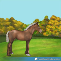 Horse Color:Gray Liver Chestnut Pearl Mushroom