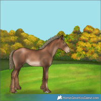 Horse Color:Gray Liver Chestnut Pearl Mushroom 