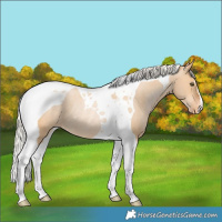 Horse Color:Silver Bay Pearl Dun Tobiano Varnish Rabicano