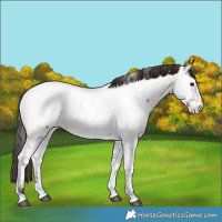 Horse Color:Bay Tobiano Near Fewspot Rabicano