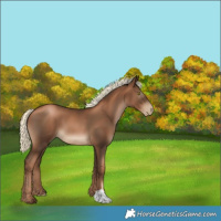 Horse Color:Gray Liver Chestnut Pearl Mushroom 
