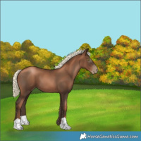 Horse Color:Gray Liver Chestnut Pearl Mushroom 