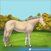 Horse Color:Silver Buckskin Dun Tobiano Varnish