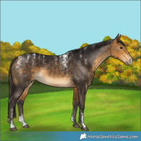 Horse Color:Powder White Buckskin
