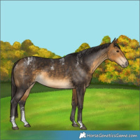 Horse Color:Powder White Buckskin 