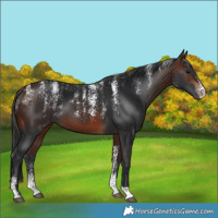 Horse Color:Powder White Brown 