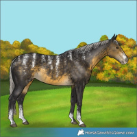 Horse Color:Powder White Silver Buckskin 