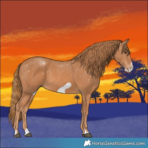 Horse Color:Chestnut Frame 