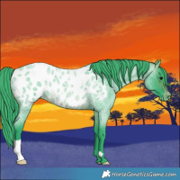 Horse Color:Watercolor Brown Roan Blanket 