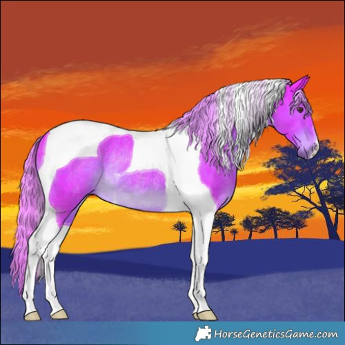 Horse Color:Watercolor Liver Chestnut Tobiano Rabicano 