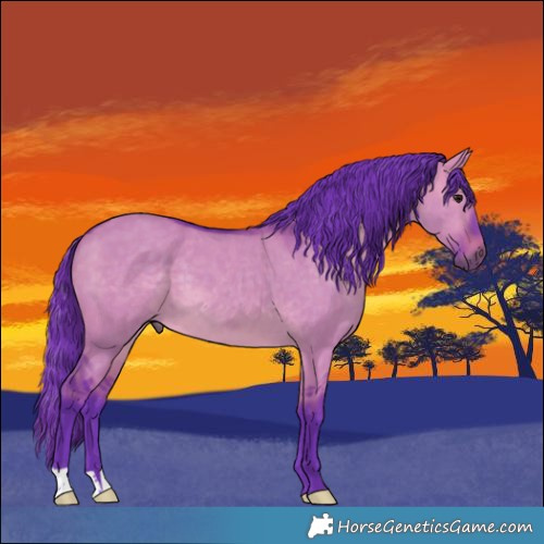 Horse Color:Watercolor Brown Dun 
