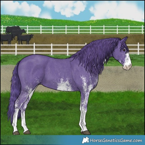 Horse Color:Watercolor White Spotted Liver Chestnut