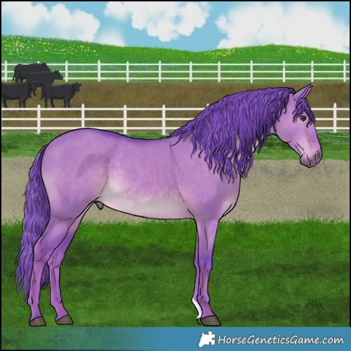 Horse Color:Watercolor Liver Red Dun Rabicano 