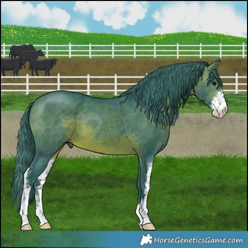 Horse Color:Watercolor Brown Sabino 