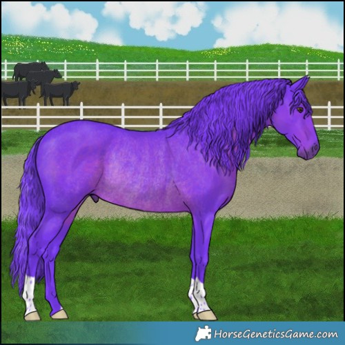 Horse Color:Watercolor Liver Chestnut Rabicano 