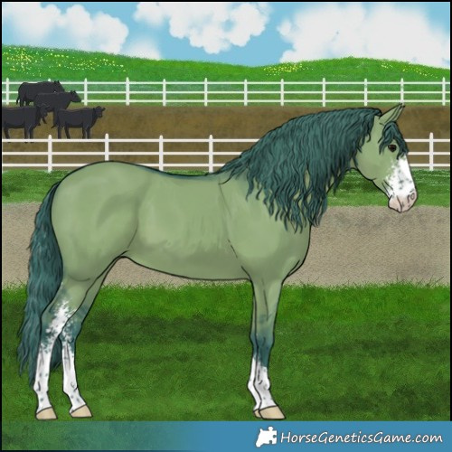 Horse Color:Watercolor Grullo Sabino 
