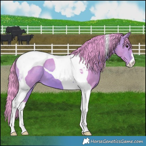 Horse Color:Watercolor Bay Tobiano 