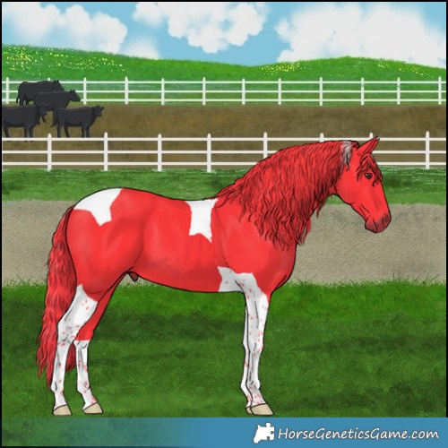 Horse Color:Watercolor Liver Chestnut Tobiano