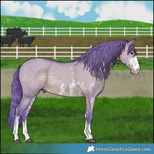 Horse Color:Watercolor Liver Red Dun Sabino