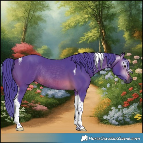 Horse Color:Gray Watercolor Bay Tobiano Rabicano