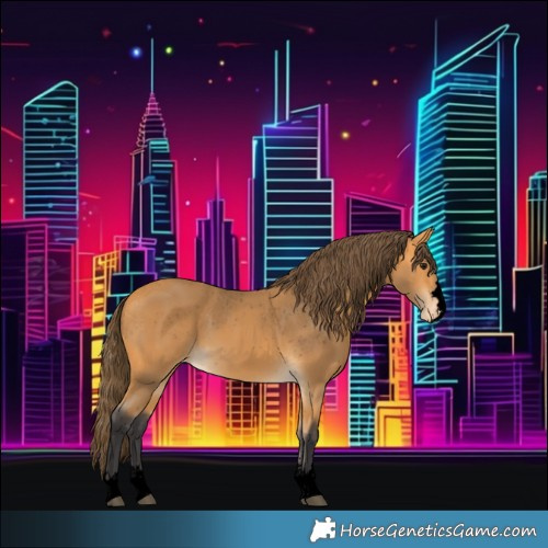 Horse Color:Void Buckskin Varnish