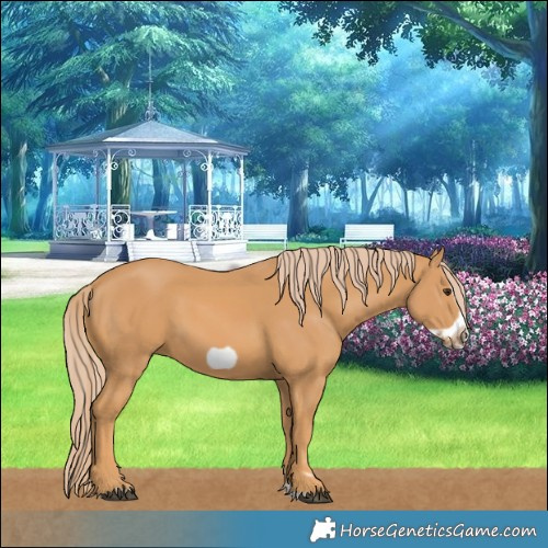 Horse Color:Chestnut Splash Frame 