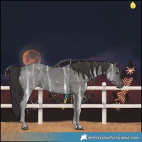 Horse Color:Smoky Black Ice 