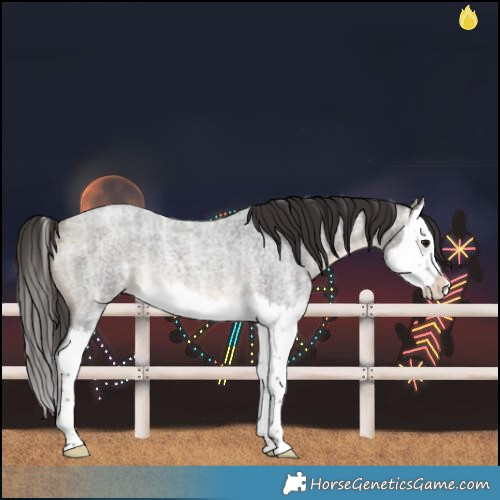 Horse Color:Buckskin Ice Roan Splash Rabicano 