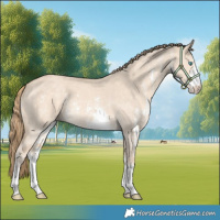 Horse Color:Perlino Dun Sabino