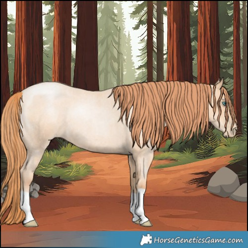 Horse Color:Classic Champagne Roan Pearl