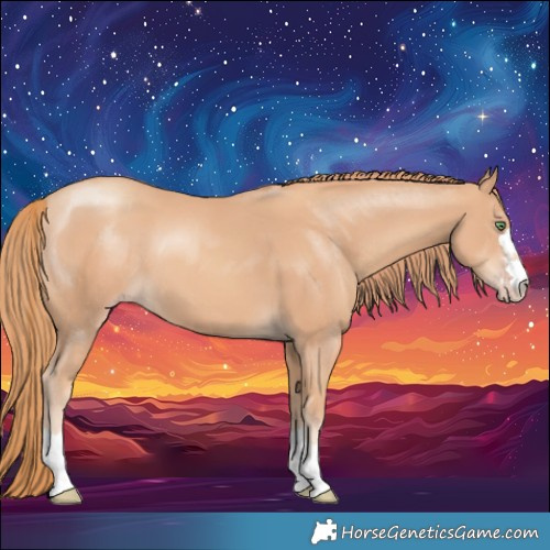 Horse Color:Gold Champagne 