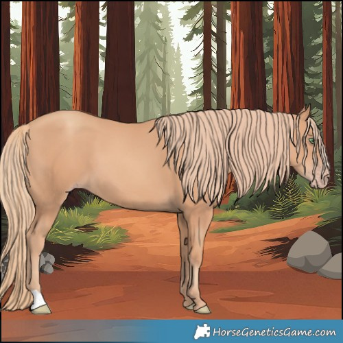Horse Color:Gold Champagne