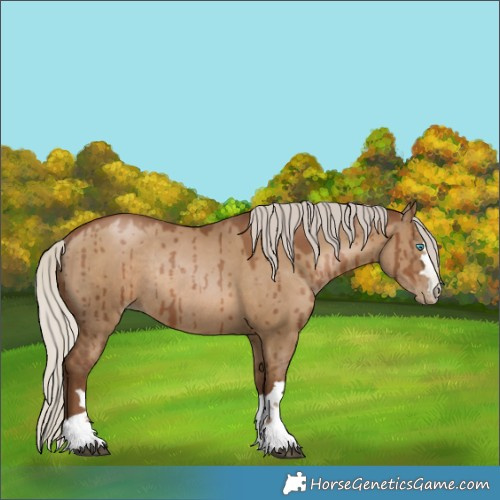 Horse Color:Gray Silver Grullo Pearl Rabicano Brindle