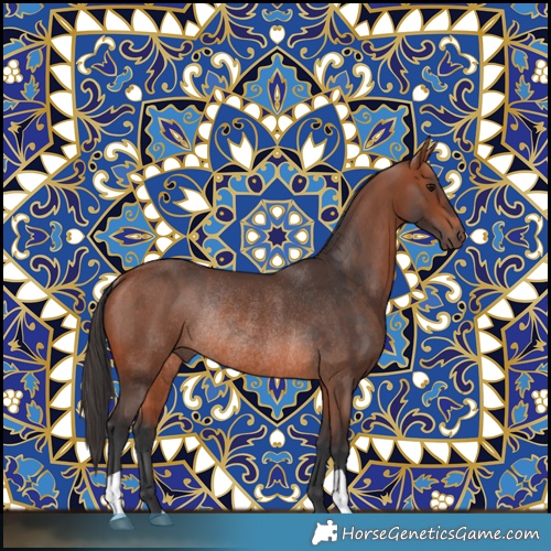 Horse Color:Bay Rabicano  and Bay Rabicano 