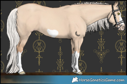 Horse Color:Silver Classic Champagne Dun Splash Frame 