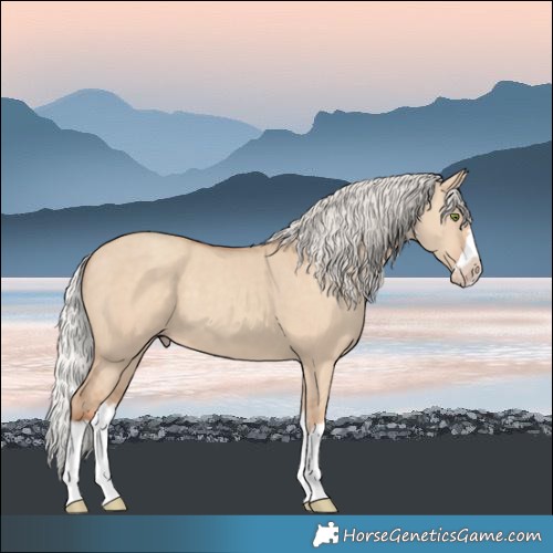 Horse Color:Silver Classic Champagne Dun Splash Frame 