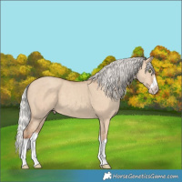 Horse Color:Silver Classic Champagne Dun Splash Frame