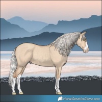 Horse Color:Silver Classic Champagne Dun Splash Frame 