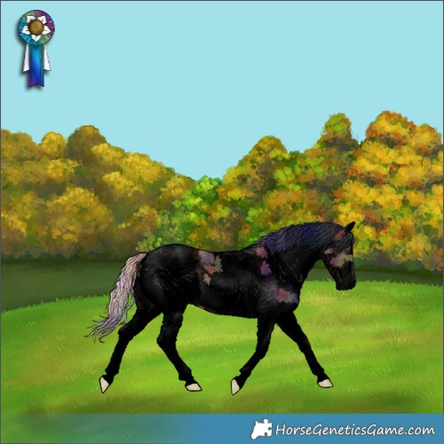 Horse Color:Void Nacre White Spotted Silver Bay 