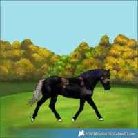 Horse Color:Void Nacre White Spotted Silver Bay 