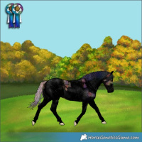 Horse Color:Void Nacre White Spotted Silver Bay