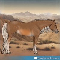 Horse Color:Chocolate Palomino