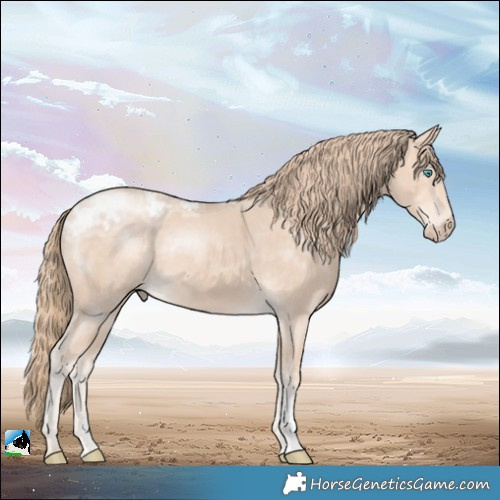 Horse Color:Perlino Ice Sabino
