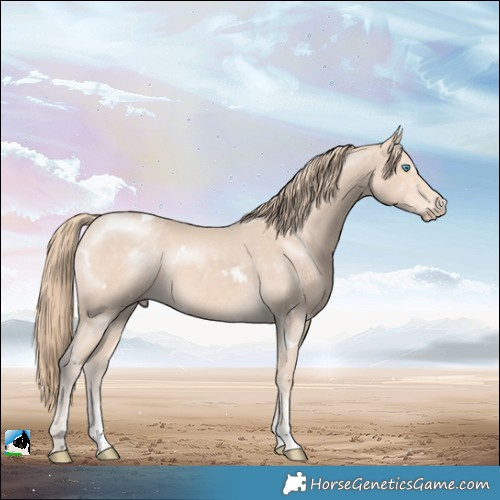 Horse Color:White Spotted Perlino Sabino